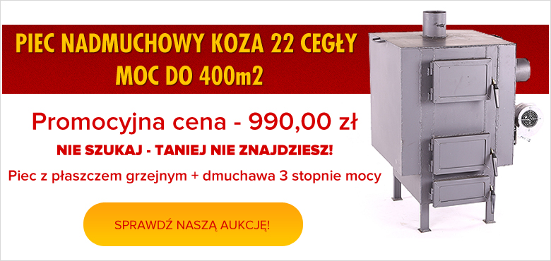 koza22